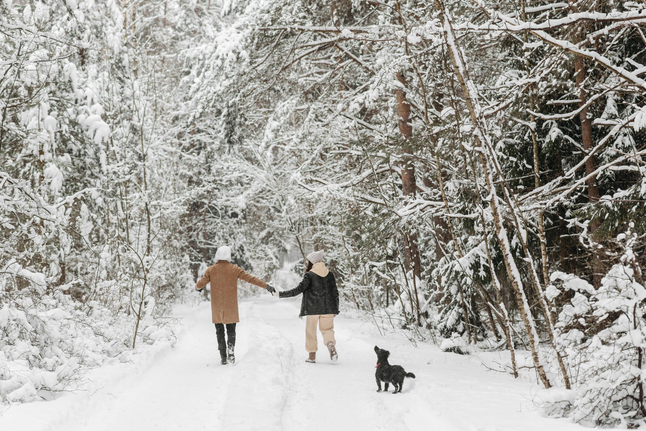 A GP writes  |  7 Ways to Beat the Winter blues - Teladoc Health UK