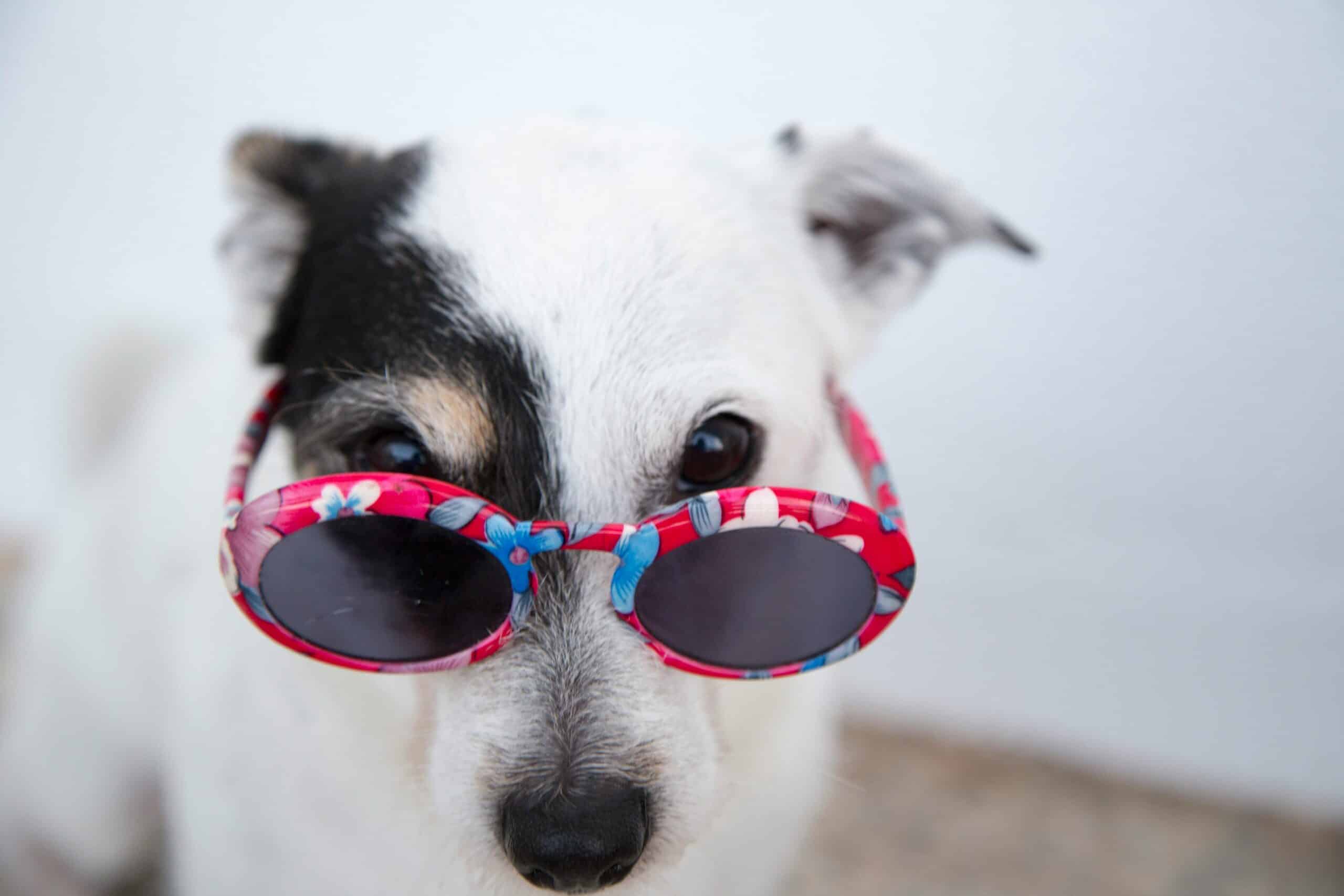 How to Manage Hot Weather — Including Tips for a Good Night’s Sleep and for Keeping Others Safe - Teladoc Health UK