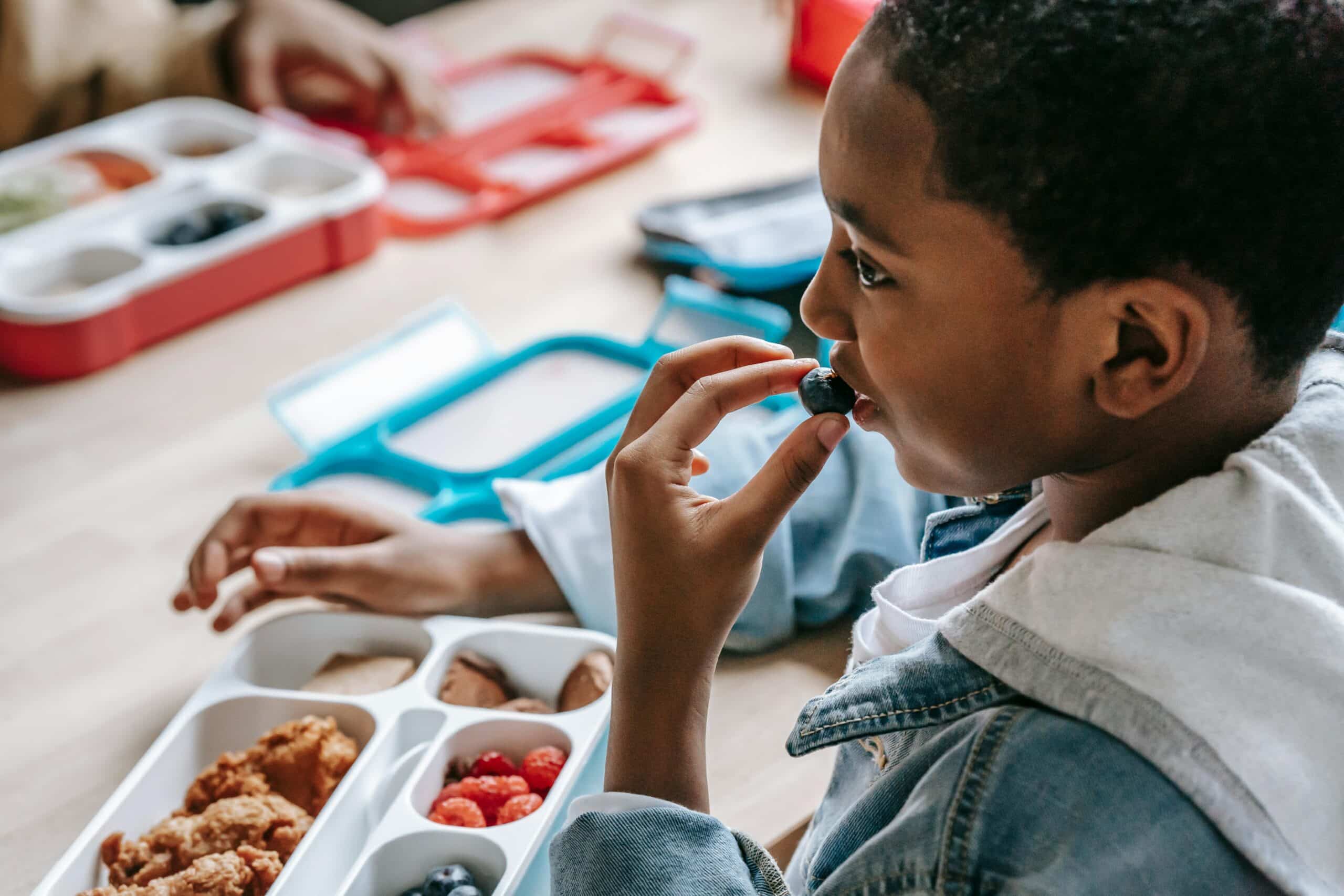 Fuelling Bodies And Minds: Healthy Lunch Boxes For All Ages - Teladoc Health UK